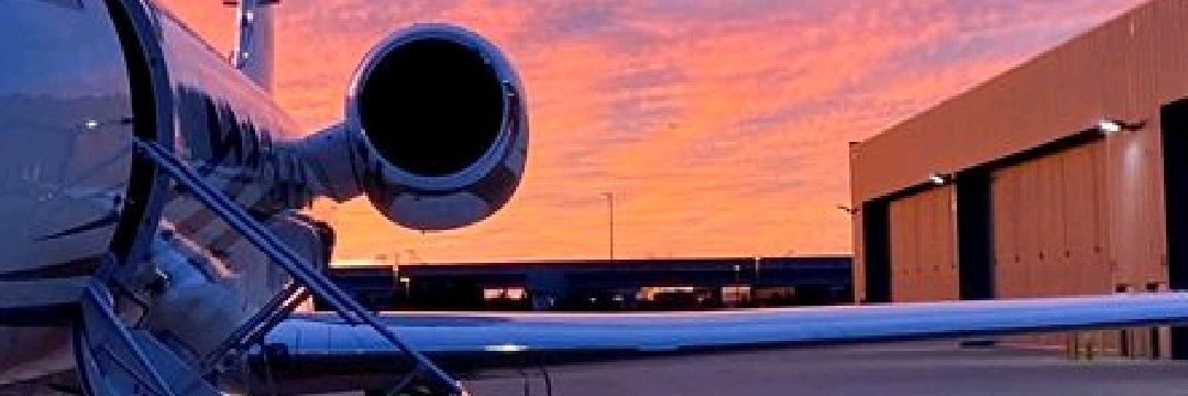 Flyingchick ©️ banner