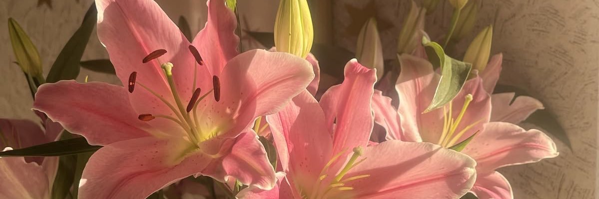 ivyurdaisy's profile banner image