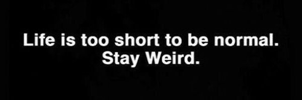 SKIPdaZIP Profile Banner