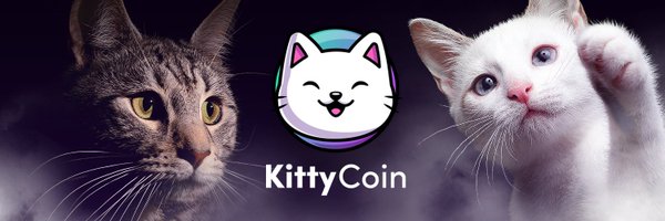 KittyCoinSolana Profile Banner