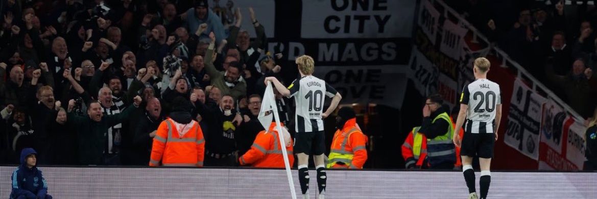 David Alexander banner