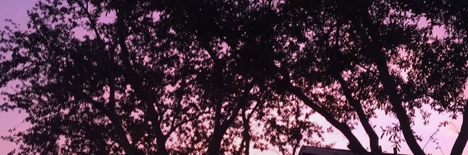 Livelindaaa's profile banner image