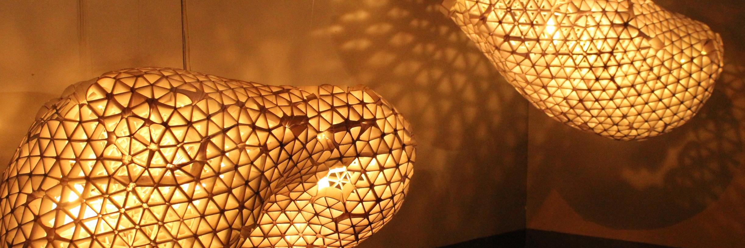 Leroy Leo D'Souza banner