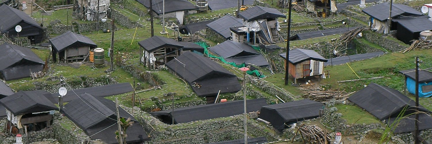 insectech 昆虫採集と標本用品の専門店 よねざわ昆虫館 虫フェスⅥ 7/5（日） banner