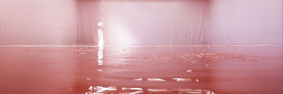 Deluge Deluxe banner