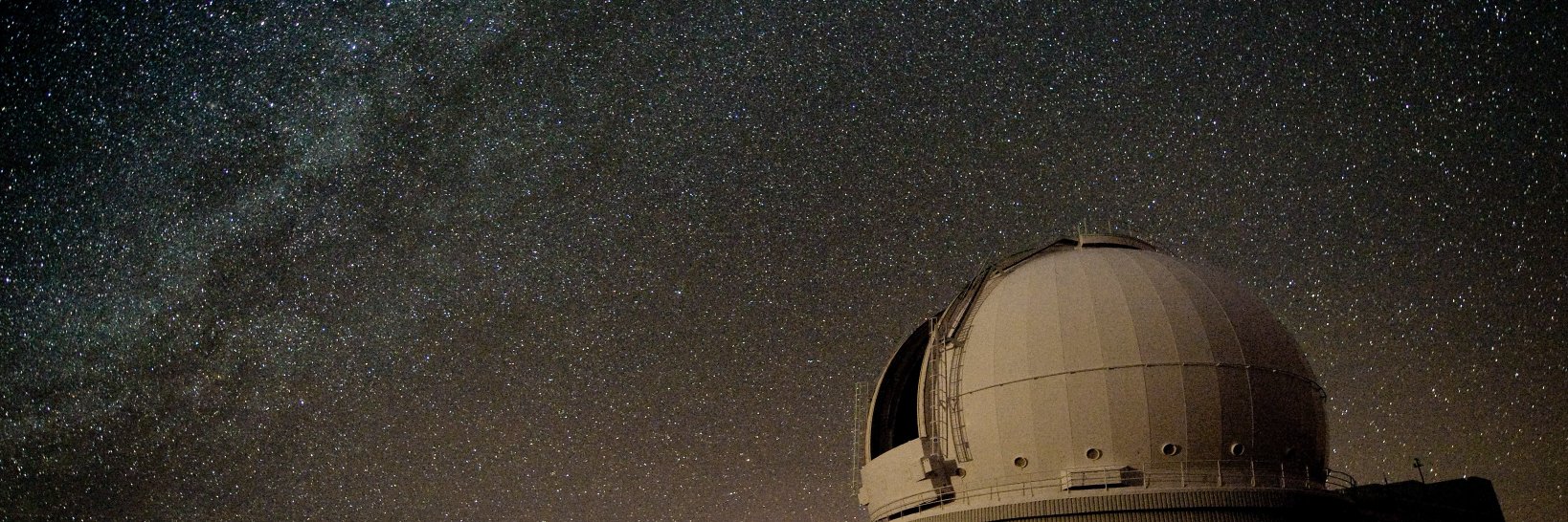 Max Alexander banner