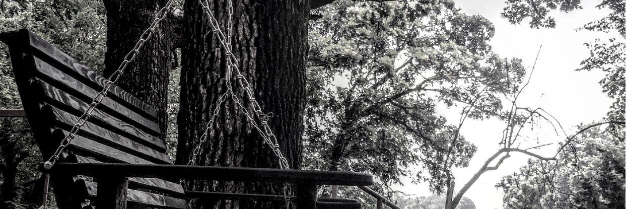 Alexis Scheibler banner