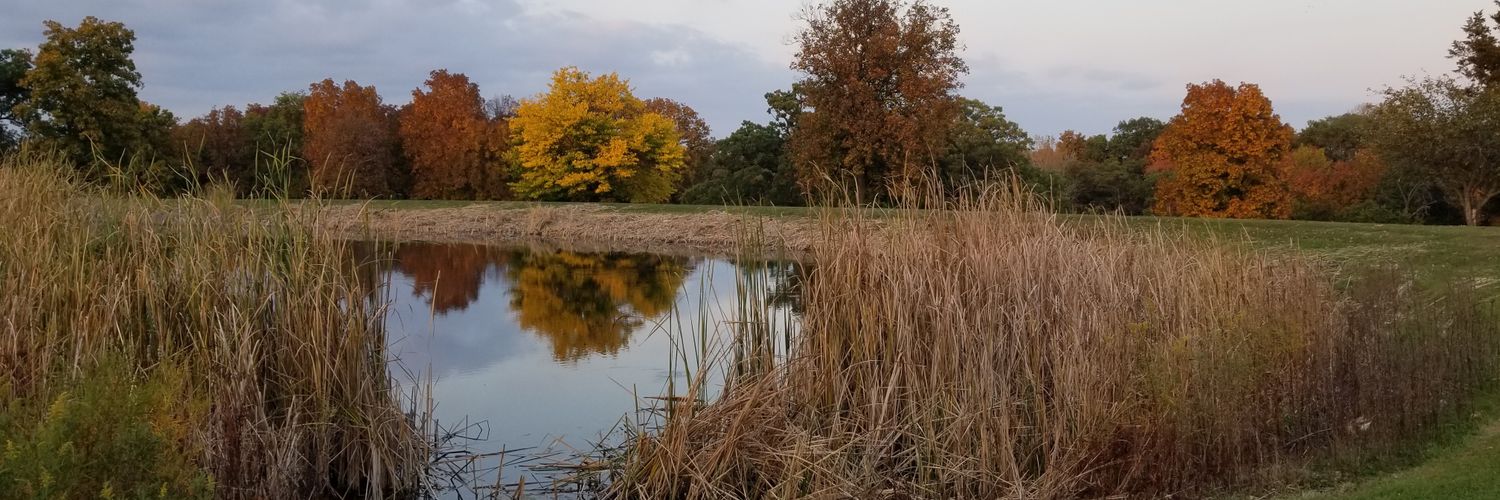 Wendytopia's profile banner image