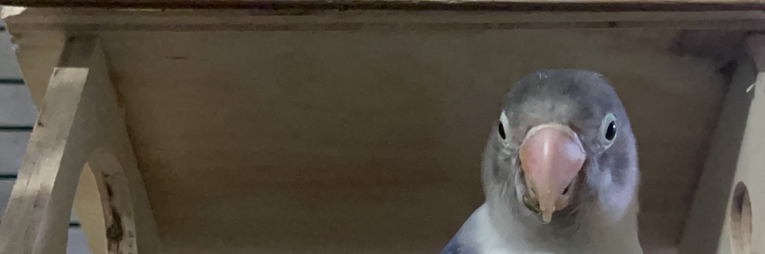 amrcdk_'s profile banner image