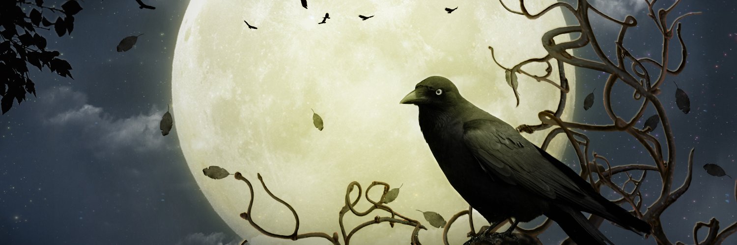 k8jonez's profile banner image