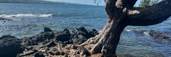 RyanWalkerA Profile Banner