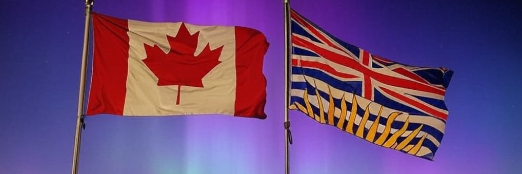 cdnsue's profile banner image