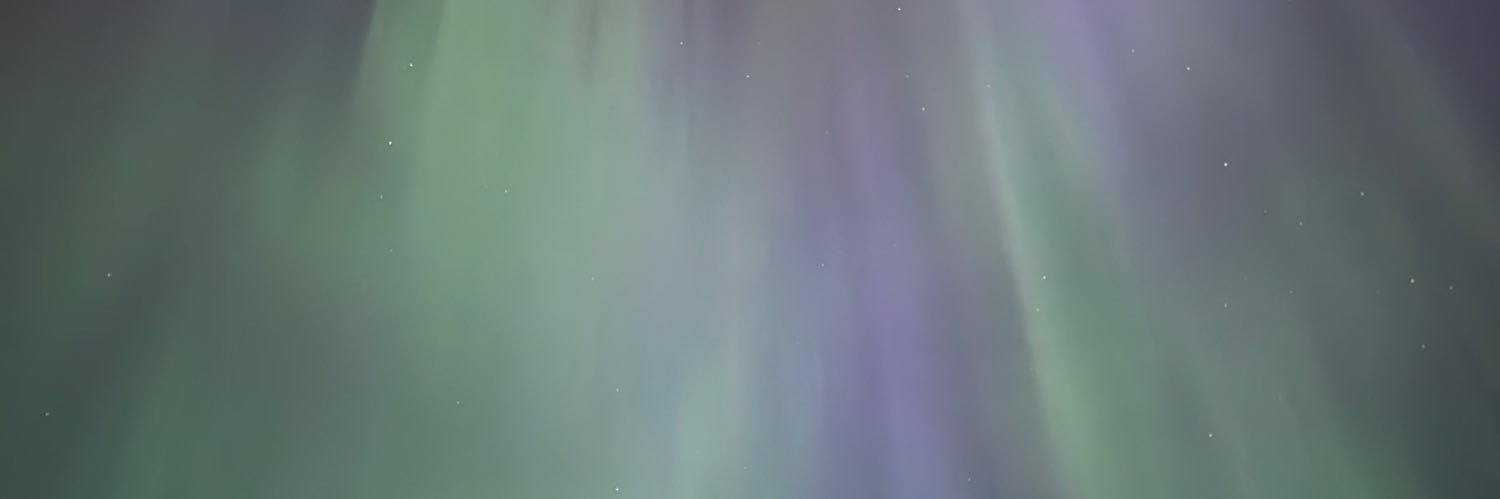 Ali banner