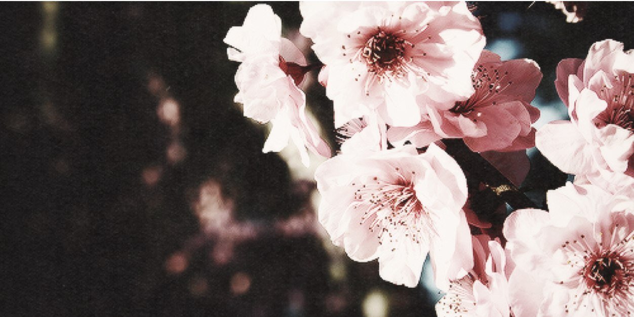 swervefalse's profile banner image