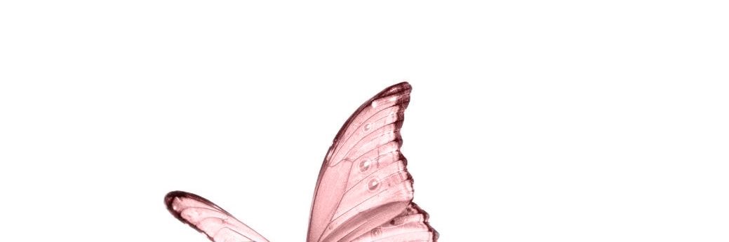saaAlibrahim's profile banner image