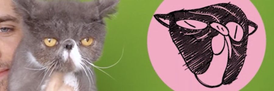 jacksunglow's profile banner image