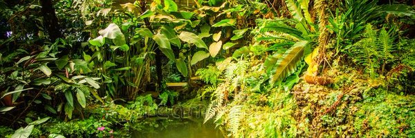 ToxicPheromone Profile Banner