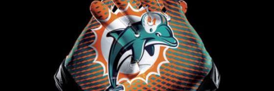 NJDolphinsFan's profile banner image