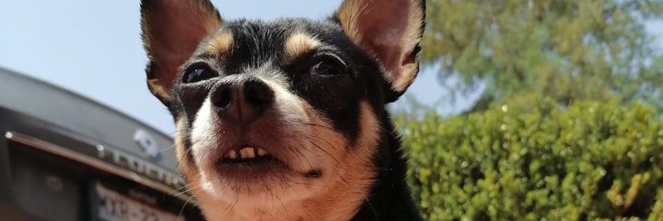 EDGAR MARTINEZ banner