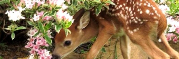 warmtude Profile Banner