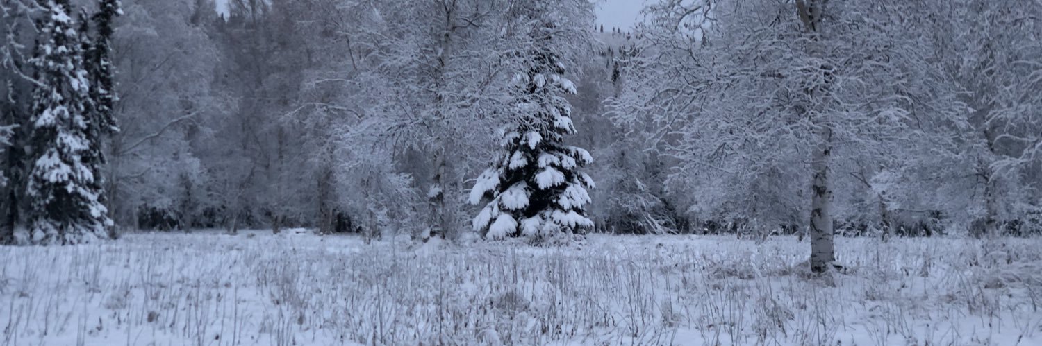 pwebley's profile banner image
