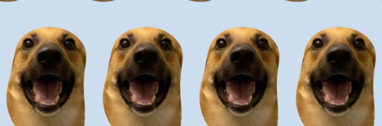 engle_molly's profile banner image