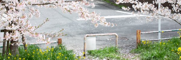 p_mikadooooooon Profile Banner