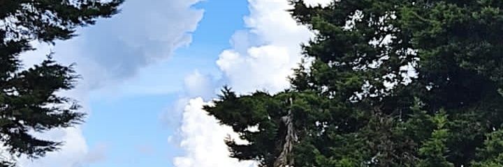 JoseLFrontera's profile banner image
