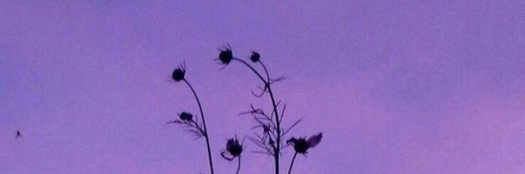 MONKEY·D·LUFFY banner