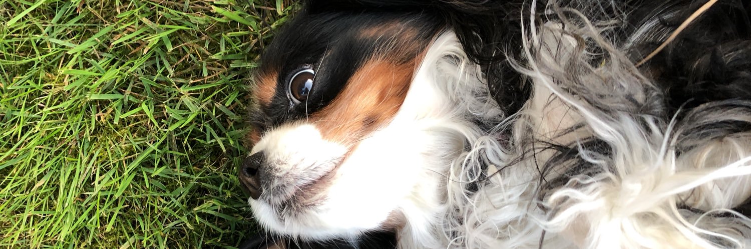 Lu_Myers's profile banner image