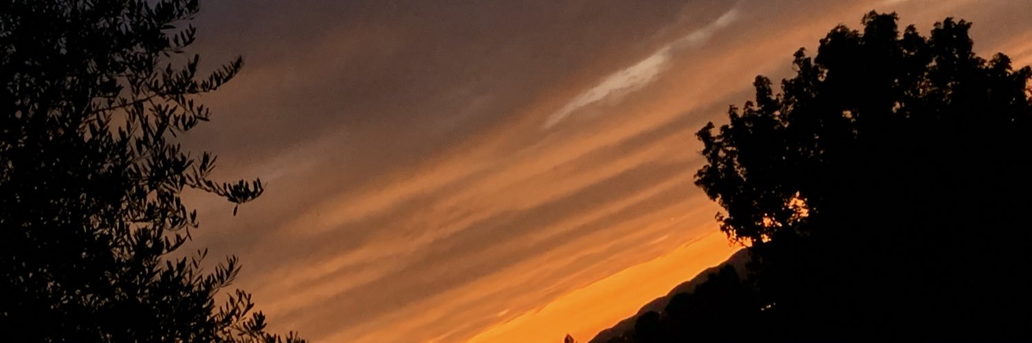 Yellyfight's profile banner image