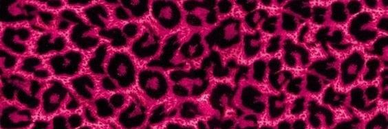 carmencii6's profile banner image