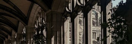 dartsnaps's profile banner image