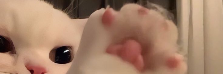 小桃子 🦋-ไม่ตอบคือหลับ banner