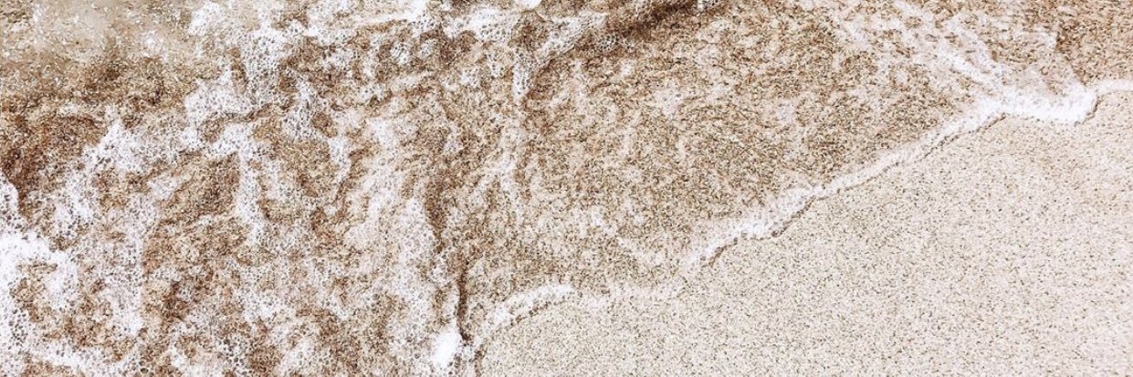 marishansonn's profile banner image