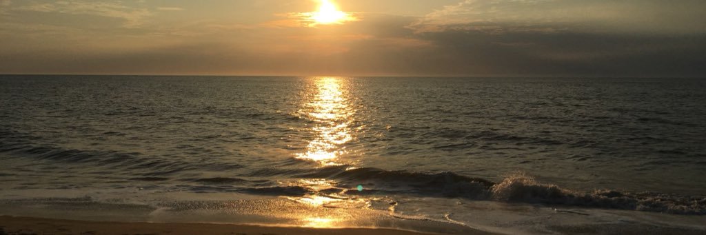 olivia_artz's profile banner image