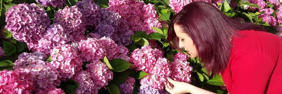 GarbiBM's profile banner image
