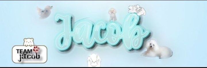 Jacob - King of poodles 🐩👑's banner
