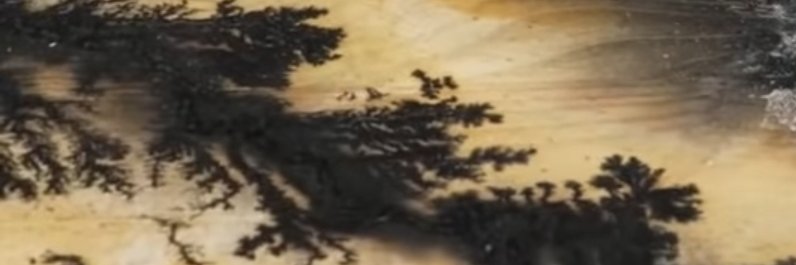 holavamos1's profile banner image