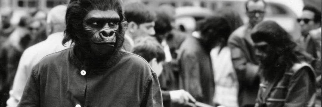 Kasper Kring ❤️💙 banner