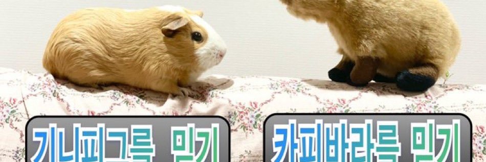 goodferrerocher's profile banner image