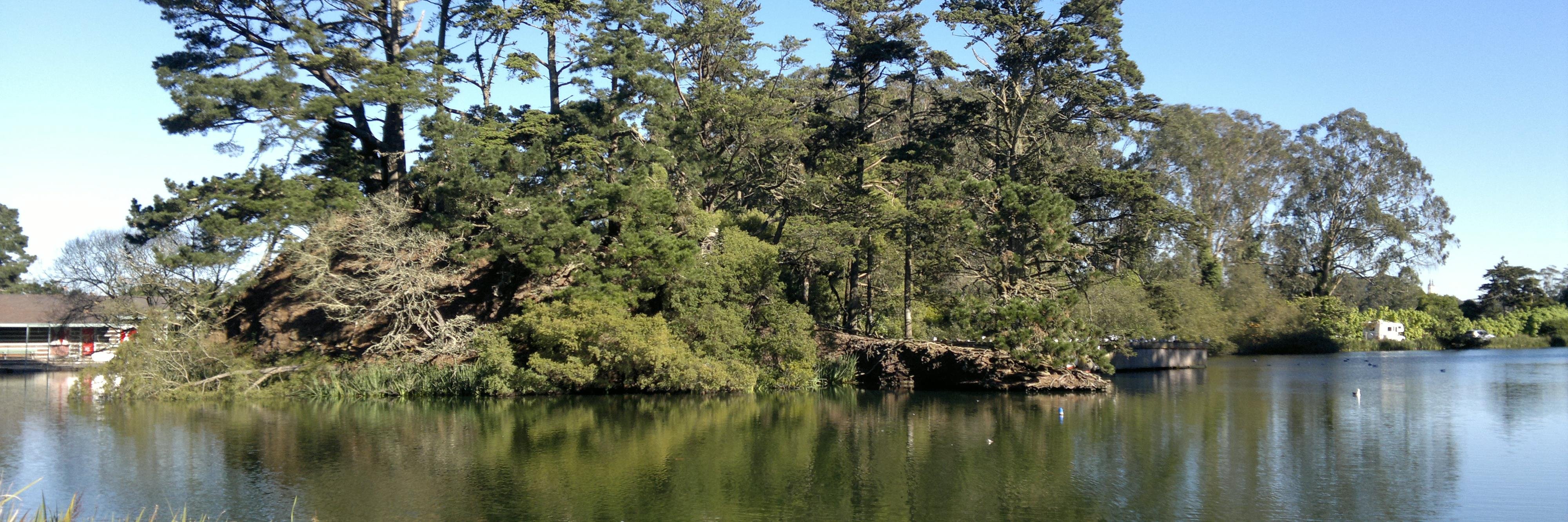 chermidam's profile banner image