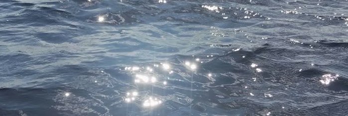 aicilatte's profile banner image