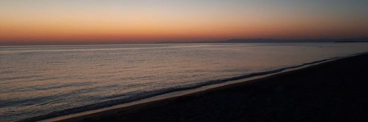 cquatic's profile banner image
