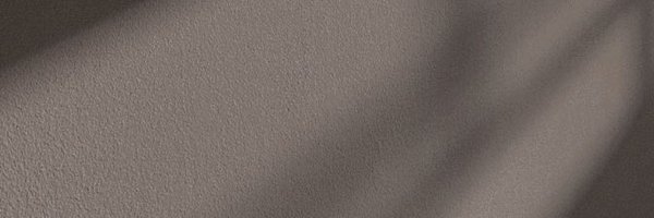 celextiafl Profile Banner