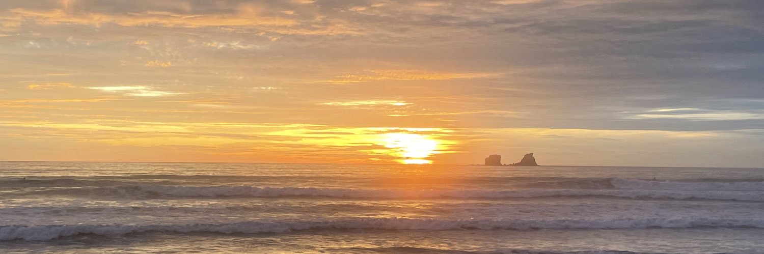 Antonio Plaza banner