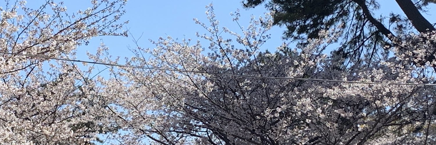 ikko_moo's profile banner image