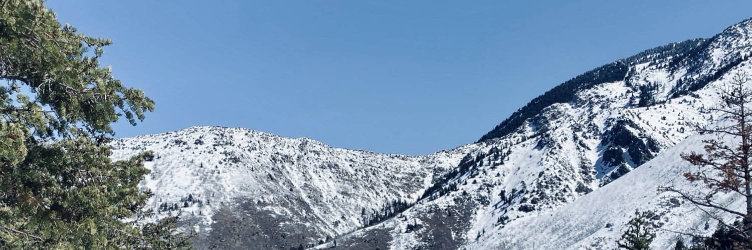 Kevin D. Seely, DO banner