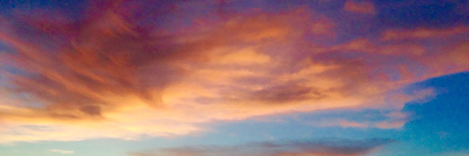 basilsammich's profile banner image