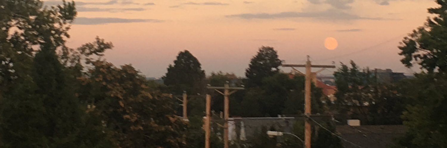 sandra fish 🐠 banner